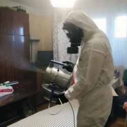 Дезинфекция от клопов в Савеловском районе Москвы