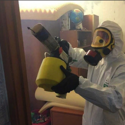 Уничтожение клопов в квартире. Савёловский район